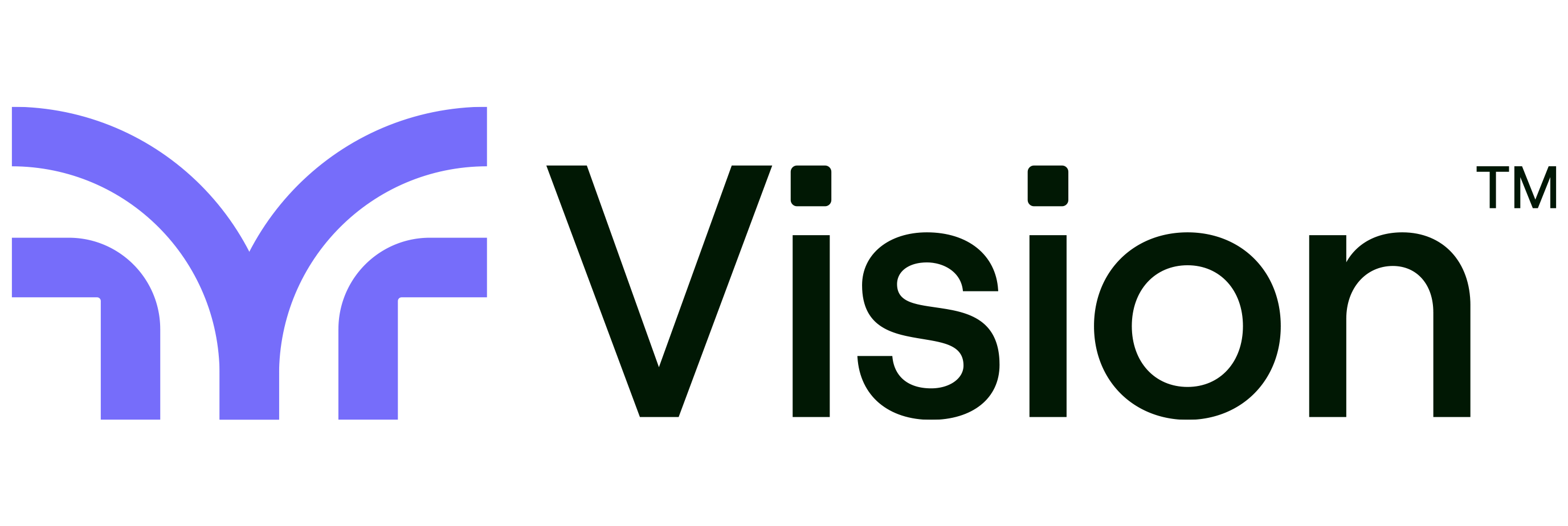 Vision logo in full color